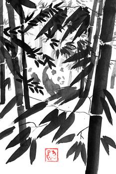 panda in bamboo forest