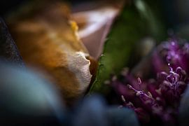 Detail of a bouquet of roses and flowering onions