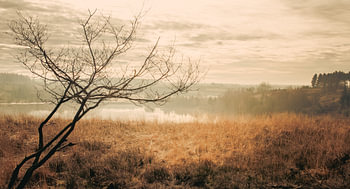 Sfeervol landschap