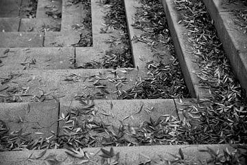 Real Life Stilleven bladeren op trap in zwart wit van Lilian Bisschop