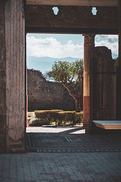 Pompei van S van Wezep