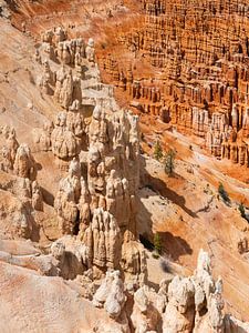 Bryce Canyon von Arnold van Wijk