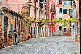 away from the hustle and bustle by Rosina Schneider