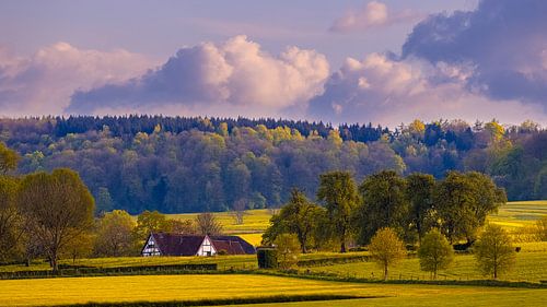 Het Limburgse heuvellandschap