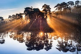 Sonnenaufgang im Nebel mit Strahlen über dem Wasser. von Els Oomis