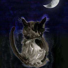 Katze in der Nacht Tuschezeichnung von Bianca Wisseloo