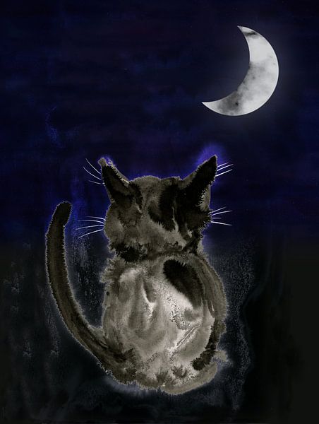 Katze in der Nacht Tuschezeichnung von Bianca Wisseloo