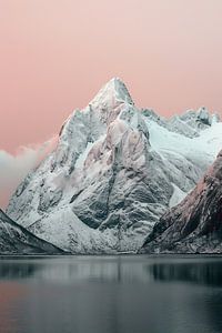 An Norwegens Küste