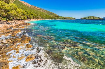 Eilandlandschap, mooi zeestrand van Platja de Formentor op het eiland Mallorca, Spanje van Alex Winter