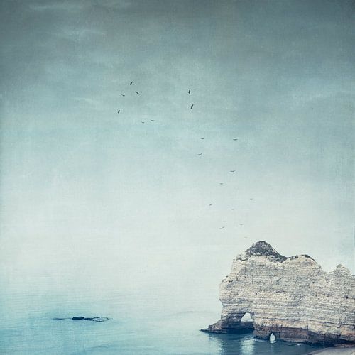 Falaise d'Amont - Côte d'Albatre - Normandy - France