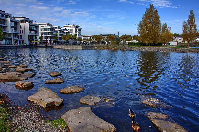 Stenen 1 van Edgar Schermaul