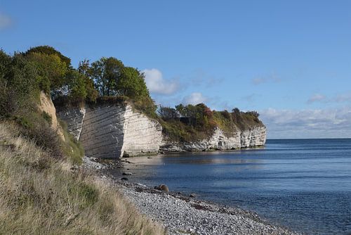 Stevns Klint, chalk cliff in the southeast of the Danish island Zealand in the Baltic Sea, a tourist