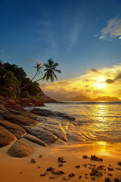 paradijs Seychellen van Silvio Schoisswohl