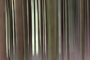 Tremotion, Ruhe
