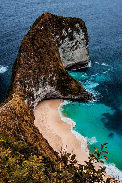 Tropical Coast by Walljar