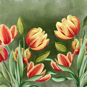 Holländische Tulpen
