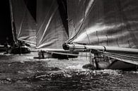 Mainsails of skûtsjes in a row by ThomasVaer Tom Coehoorn thumbnail