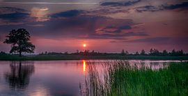Sunset sur Reint van Wijk