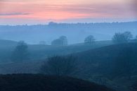 Winterse mist op de Posbank  par Dennis van de Water Aperçu