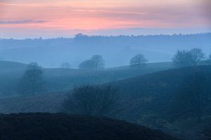 Winterse mist op de Posbank  sur Dennis van de Water