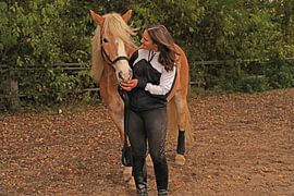 Photoshooting with light brown Haflinger with beige mane