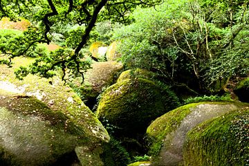 De rotsen, bedekt met een groen fluweel. van Pieter de Kramer