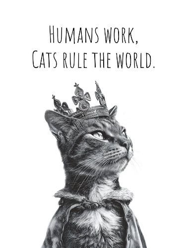 Coole kat - De heerser