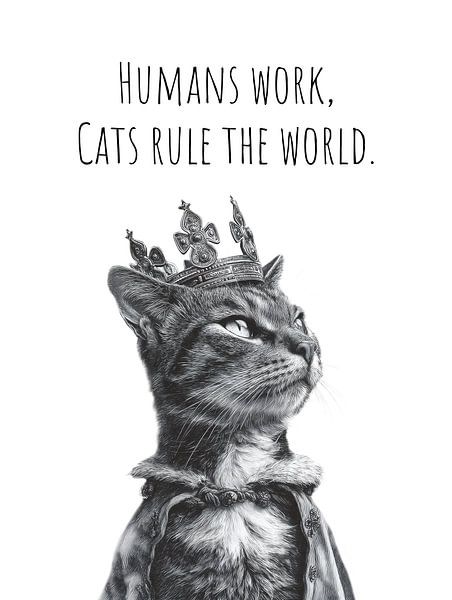 Chat cool - Le souverain par Melanie Viola