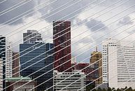 Skyline van Rotterdam gezien door de tuikabels van de Erasmusbrug van W J Kok thumbnail