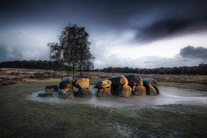 Dolmen à Havelte sur Frans Lemmens