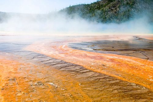 Yellostone National Park