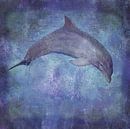 Delfin Textur von Artstudio1622 Miniaturansicht