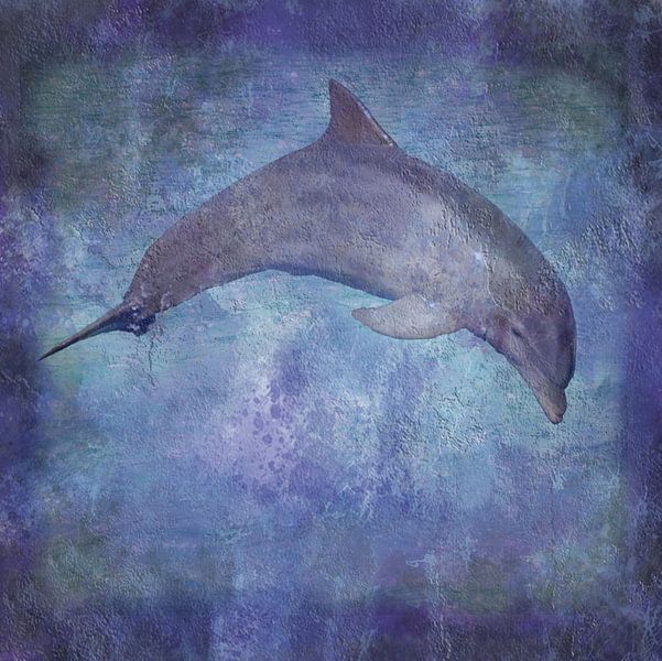 Delfin Textur von Artstudio1622
