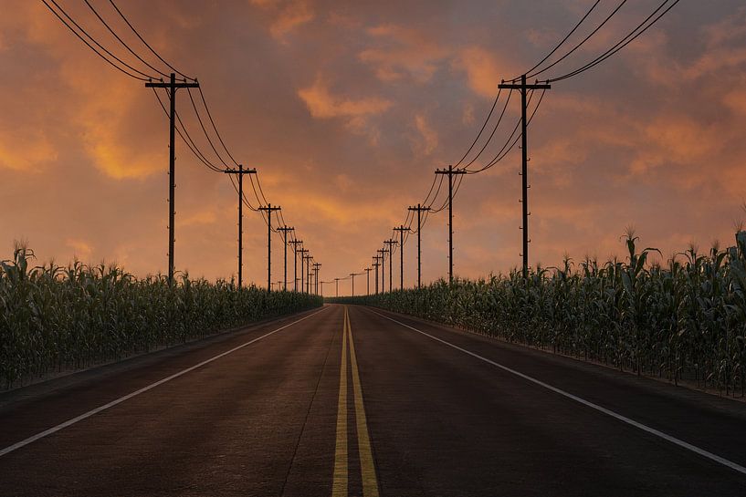 Road with yellow centre line between green maize field and electricity pylons by Besa Art
