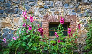 stokrozen voor een oude natuurstenen muur van Rietje Bulthuis