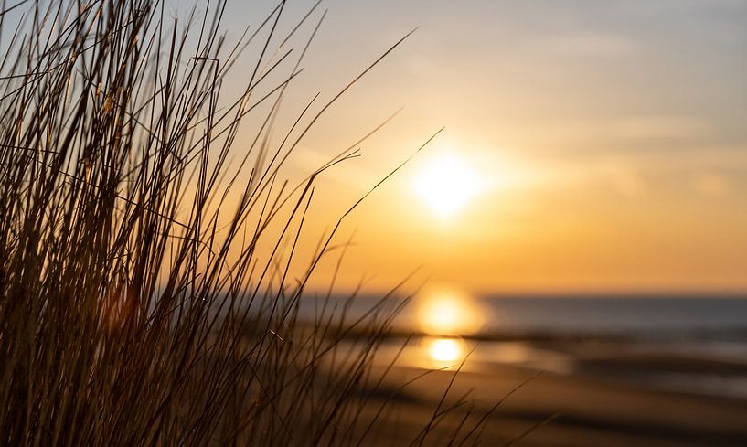 Marram grass with beach in evening light by Percy's fotografie