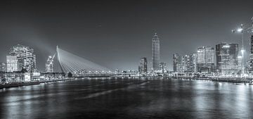 Rotterdam skyline black & white