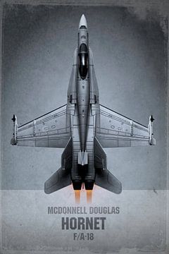 Straaljager - McDonnell Douglas Hornet van Stefan Witte