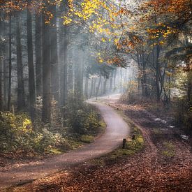 Autumn by Jeroen Linnenkamp