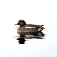 Wintertaling