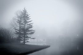 Nebel auf De Oeverlanden
