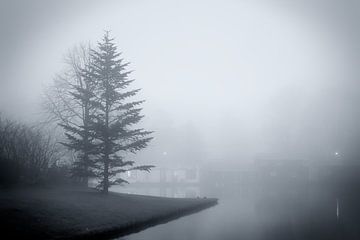 Fog on De Oeverlanden