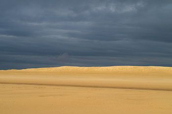Silence before the storm. For example, as a seamless wallpaper or wall circle.