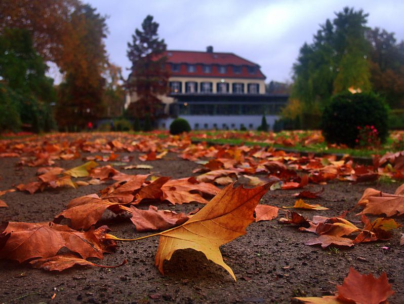 Feuille d'automne 2 par Edgar Schermaul