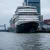 Het cruiseschip Rotterdam van scheepskijkerhavenfotografie
