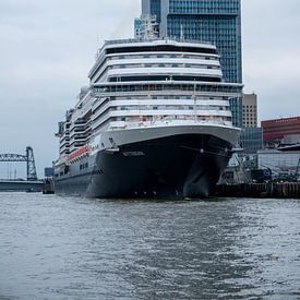 Le navire de croisière Rotterdam sur scheepskijkerhavenfotografie