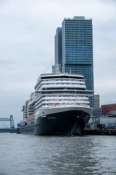 Le navire de croisière Rotterdam sur scheepskijkerhavenfotografie