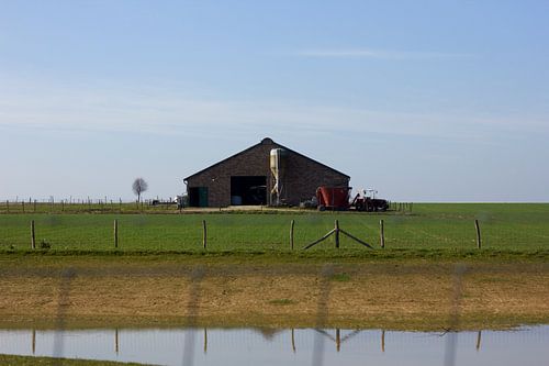 Boerderij