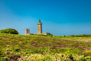 Onderweg naar het schilderachtige hoogtepunt Cap Fréhel in Bretagne - Plévenon - Frankrijk van Oliver Hlavaty