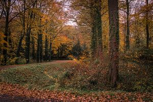 Autumn colours